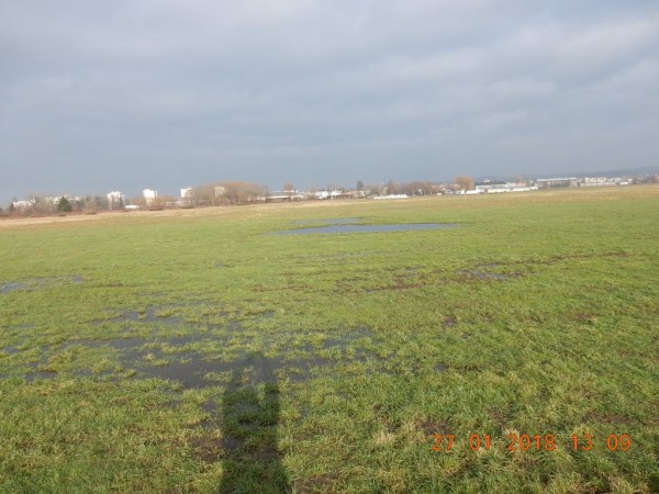 zalewiska.JPG