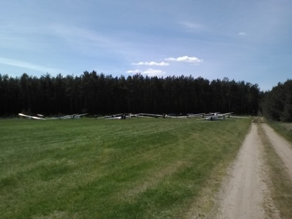 Korne grid pod lasem.jpg