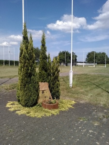 pomnik Pelagii Majewskiej.jpg